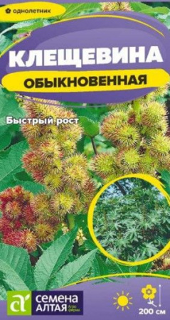 Клещевина Обыкновенная/Сем Алт/цп 3 шт. (2029 / 42579) - КОЛОРЛОН ВТД Новосибирск