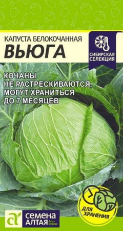 Капуста Вьюга/Сем Алт/цп 0,5 гр. Сибирская Селекция! - КОЛОРЛОН ВТД Новосибирск