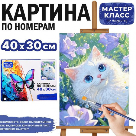 MKR4030-145 Картина по номерам "Мечтатель" 40х30 см. - КОЛОРЛОН ВТД Новосибирск