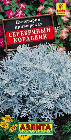 Цинерария Серебряный кораблик 0.05г (Аэлита) - КОЛОРЛОН ВТД Новосибирск