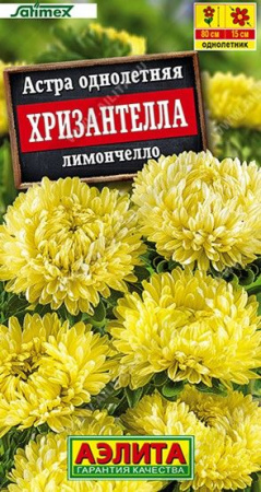Астра Хризантелла Лимончелло 15шт (Аэлита) - КОЛОРЛОН ВТД Новосибирск