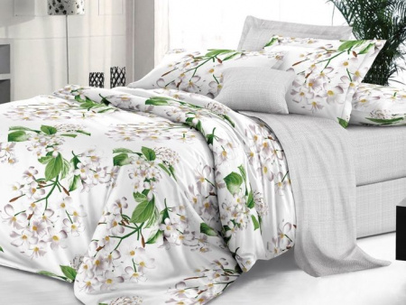 КПБ "Евростандарт" "Sateen De Luxe", сатин, Сиеста - КОЛОРЛОН ВТД Новосибирск