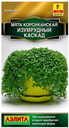 Мята Изумрудный каскад 3шт, декоративная (Аэлита) - КОЛОРЛОН ВТД Новосибирск