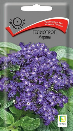 Гелиотроп Марина (Поиск)   цв - КОЛОРЛОН ВТД Новосибирск