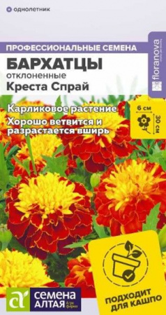 Бархатцы Креста Спрай махровые/Сем Алт/цп 5 шт. - КОЛОРЛОН ВТД Новосибирск