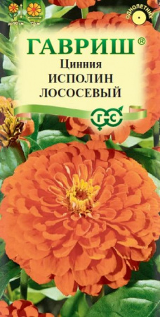 Цинния Исполин лососевый 0.3гр(Гавриш) цв - КОЛОРЛОН ВТД Новосибирск