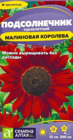 Подсолнечник Малиновая Королева/Сем Алт/цп 0,3 гр. - КОЛОРЛОН ВТД Новосибирск