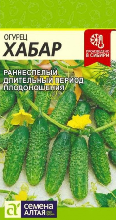 Огурец Хабар/Сем Алт/цп 0,3 гр. - КОЛОРЛОН ВТД Новосибирск